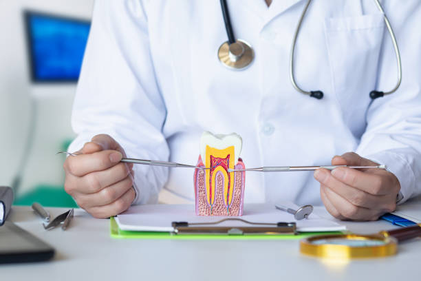 Best Emergency Dental Care for Abscessed Tooth in Hebron, IN